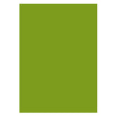 Aperturee - Olive Drab Solid Green Portrait Photo Backdrop